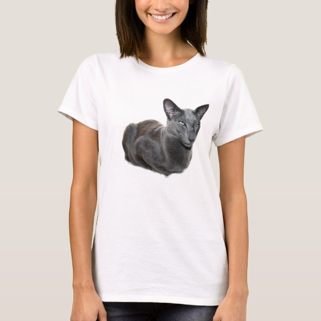 Camiseta oriental azul del gato de Shorthair (Anverso)