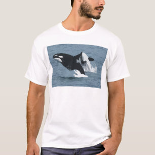 Camiseta Orka Whale