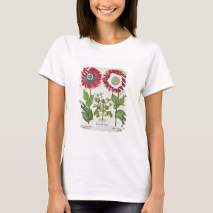 Camiseta Ornamental Poppies, from the 'Hortus Eystettensis'