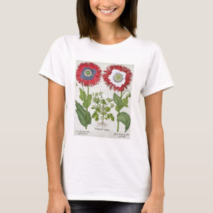 Camiseta Ornamental Poppies, from the 'Hortus Eystettensis'