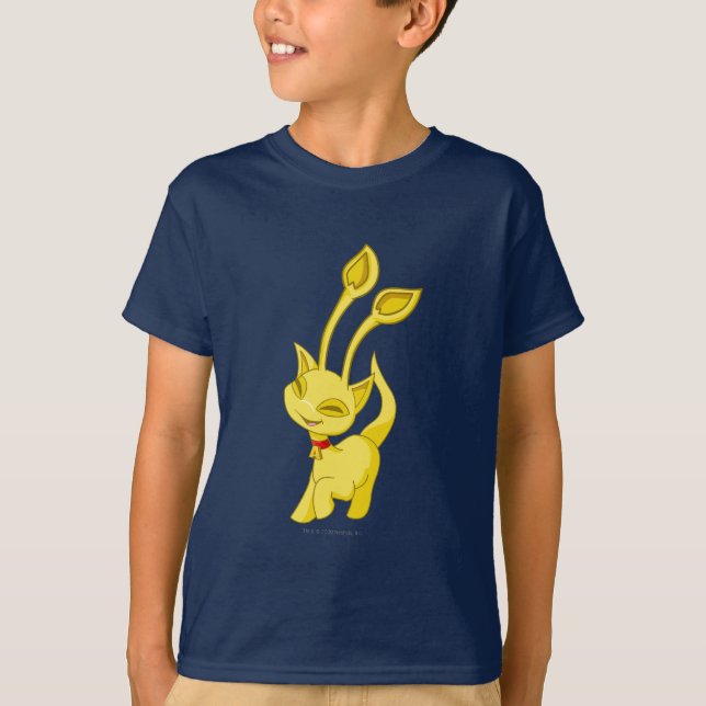 Camiseta Oro de Aisha (Anverso)
