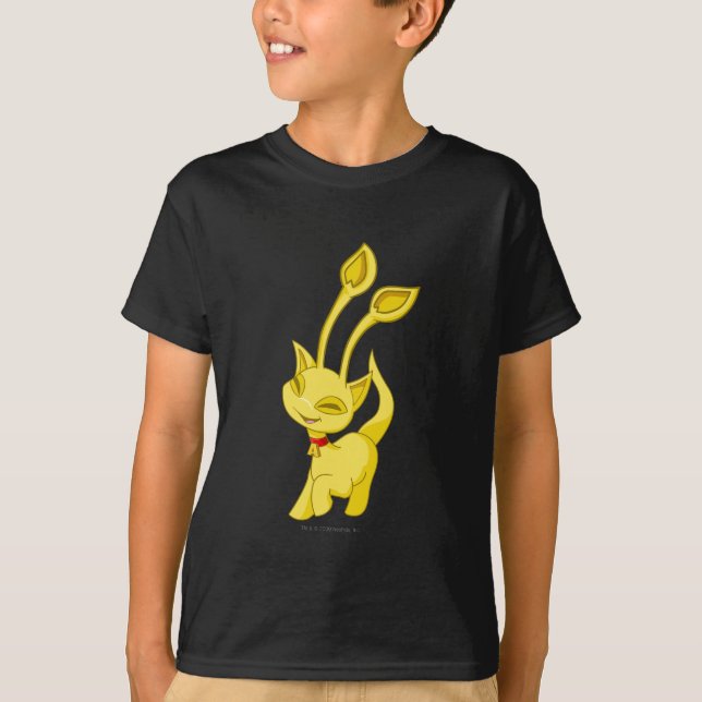 Camiseta Oro de Aisha (Anverso)