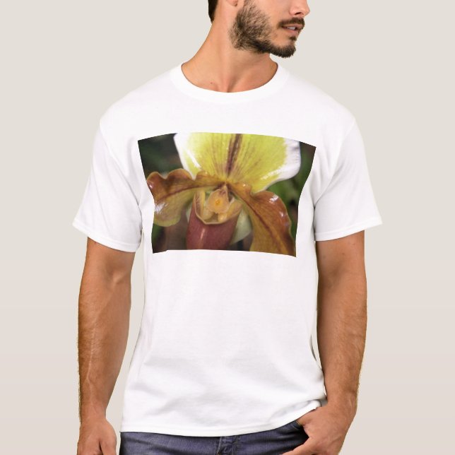 Camiseta Orquídea (Anverso)