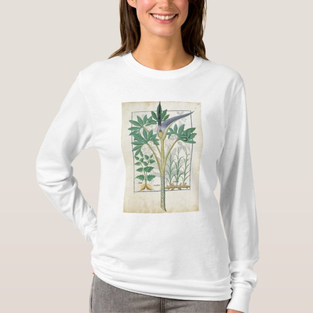 Camiseta Orquídea (Anverso)