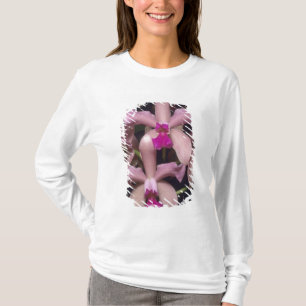 Camiseta Orquídea (Cattleya amethystoglossa), oriental