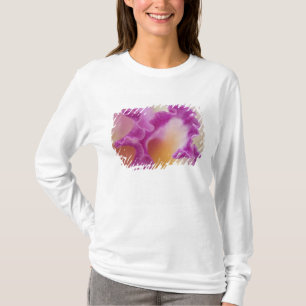 Camiseta Orquídea híbrida primer plano, Delray Beach, Flori