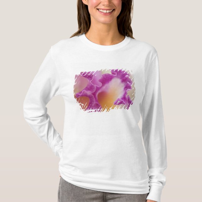 Camiseta Orquídea híbrida primer plano, Delray Beach, Flori (Anverso)
