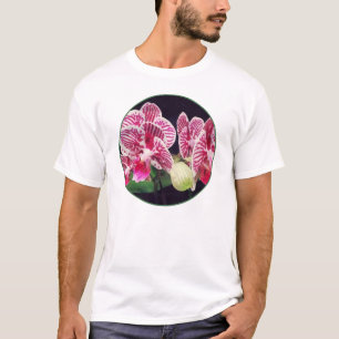 Camiseta Orquídea Phalaenopsis Taida Little Zebra