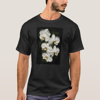 Camiseta Orquídeas blancas de falaenopsis