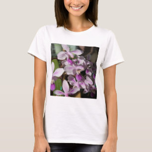 Camiseta orquídeas en miniatura