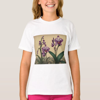 Camiseta orquydeas zapa