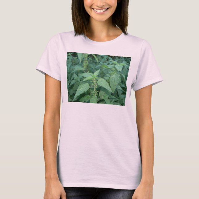 Camiseta Ortigas tacañas (Anverso)