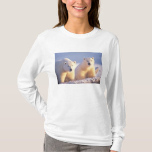 Camiseta Osa de oso polar con cría en el hielo de banquisa