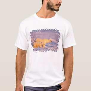 Camiseta Osa de oso polar con crías de primavera en el cong