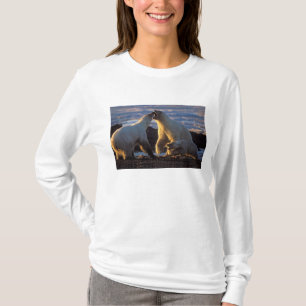 Camiseta Osa polar con cría al lado, 1002 costera