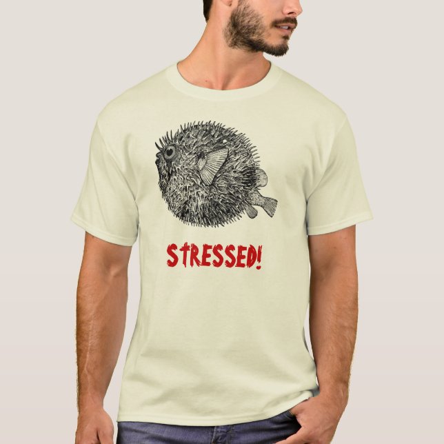 Camiseta Oscilación de humor (Anverso)