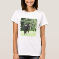 Camiseta oscura de las señoras del caballo de