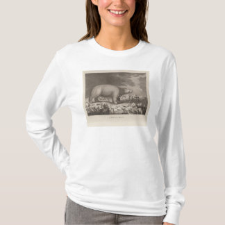 Camiseta Oso blanco en Alaska