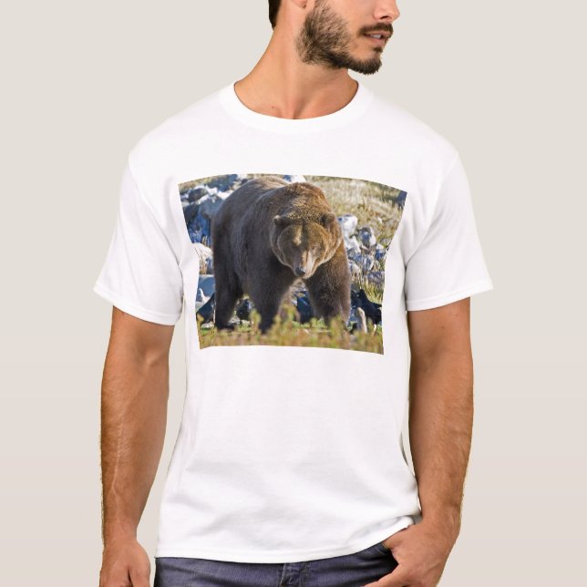 Camiseta Oso grizzly (Anverso)