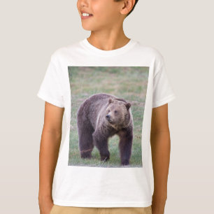 Camiseta Oso grizzly