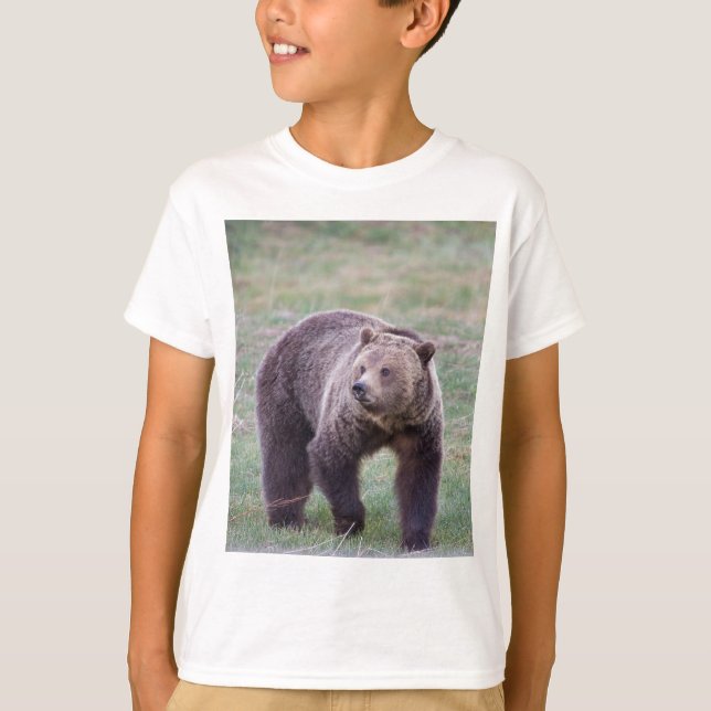 Camiseta Oso grizzly (Anverso)