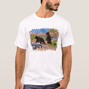 Camiseta Oso Marrón, Arcos Ursus, Península de Alaska,