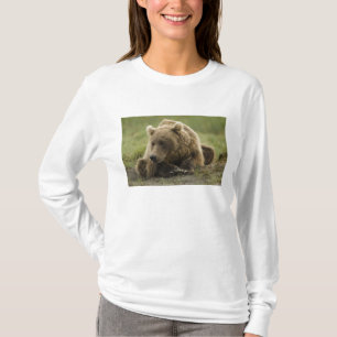 Camiseta Oso marrón o oso pardo costero, Ursus
