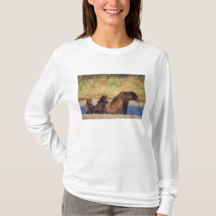 Camiseta Oso marrón, oso pardo, cerda con costillas,