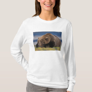 Camiseta Oso marrón, oso pardo, tomando una siesta, Katmai
