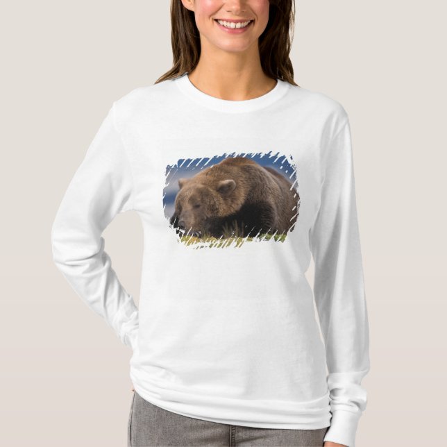 Camiseta Oso marrón, oso pardo, tomando una siesta, Katmai (Anverso)