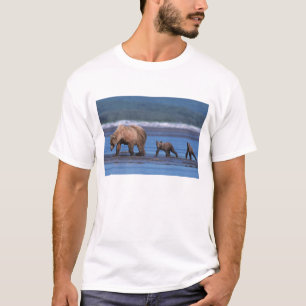 Camiseta Oso Marrón, Ursus Arctos, Península de Alaska, 2