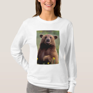Camiseta Oso negro canela, Norteamérica, California