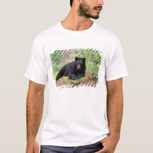 Camiseta Oso negro en un tronco de crecimiento antiguo en e
