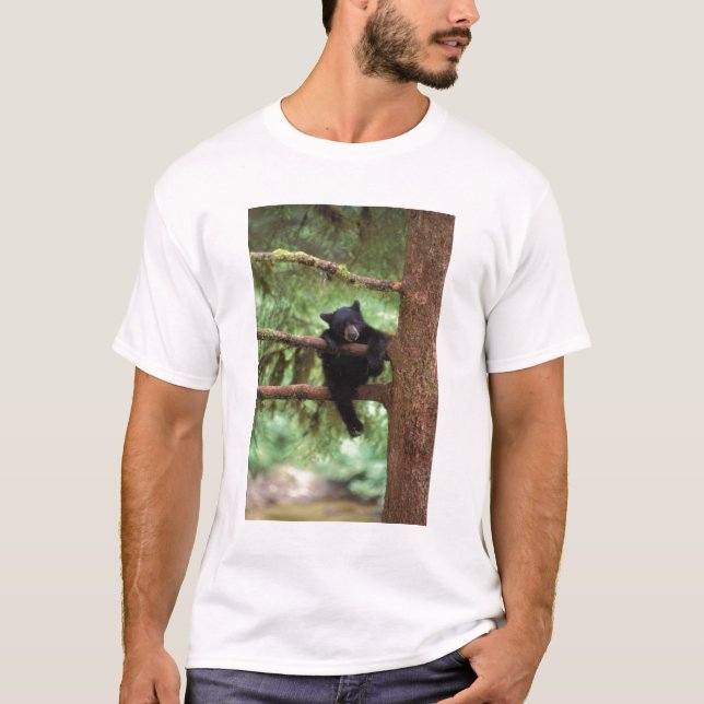 Camiseta oso negro, Ursus americanus, cachorro en un árbol (Anverso)