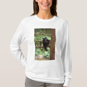 Camiseta oso negro, Ursus americanus, cría en un árbol