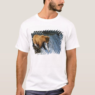 Camiseta Oso Pardo de Alaska cazando salmón en Brooks