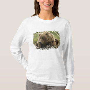 Camiseta Oso pardo, o oso grizzly costero, Ursus