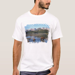 Camiseta Oso pardo, oso grizzly, cerda y crías en