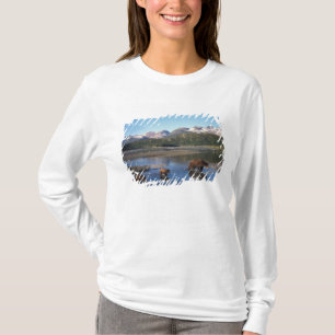 Camiseta Oso pardo, oso grizzly, cerda y crías en