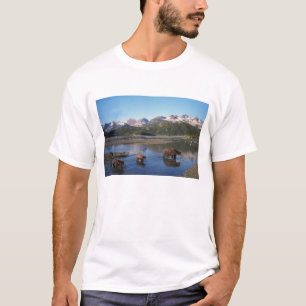 Camiseta Oso pardo, oso grizzly, cerda y crías en