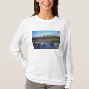 Camiseta Oso pardo, oso grizzly, cerda y crías en