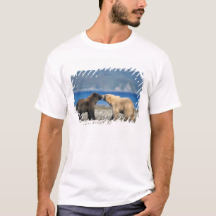 Camiseta Oso pardo, oso grizzly, juegan en la playa,