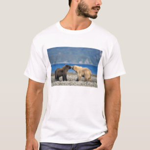 Camiseta Oso pardo, oso grizzly, juegan en la playa,