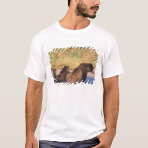 Camiseta Oso pardo, oso grizzly, osa con crías,