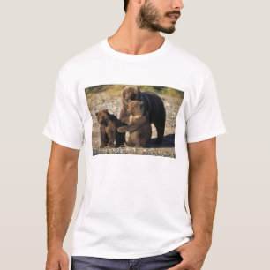Camiseta Oso pardo, oso grizzly, osa con crías en la costa