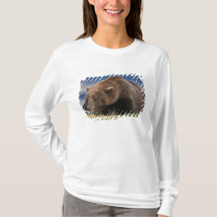 Camiseta Oso pardo, oso grizzly, tomando una siesta, Katmai