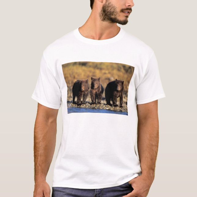 Camiseta Oso pardo, oso pardo, cachorros, Katmai National (Anverso)