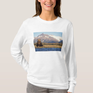 Camiseta oso pardo, Ursus arctos, oso grizzly, Ursus