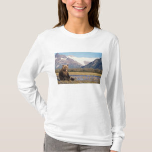 Camiseta oso pardo, Ursus arctos, oso grizzly, Ursus