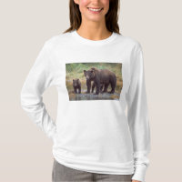 oso pardo, Ursus arctos, oso grizzly, Ursus 3